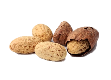 wholesale-bitter-kola-zelahexports