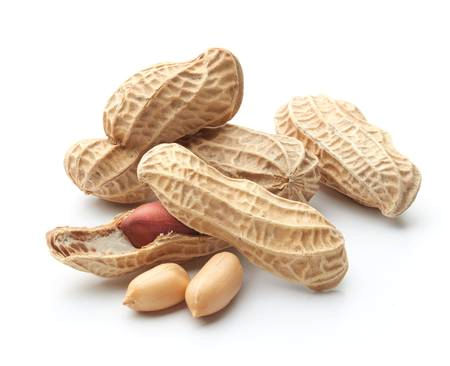 wholesale-peanuts-zelahexports