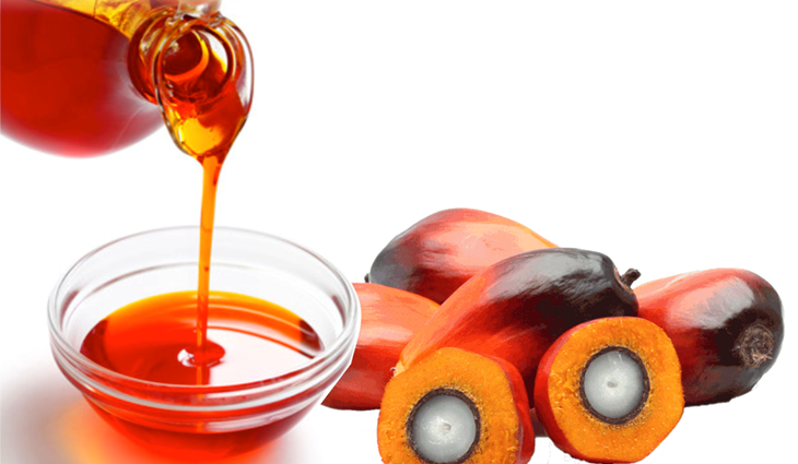 wholesale-red-palmoil-zelahexports